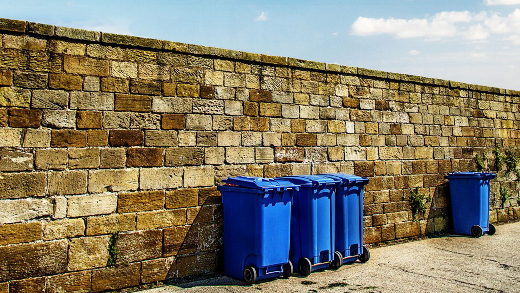 Municipal recycling bins